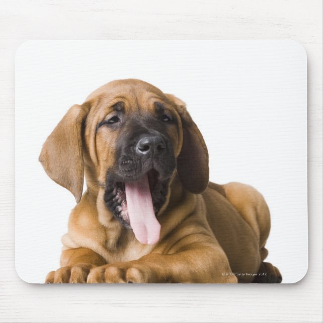 Mousepad Cachorro 2 (Frente)
