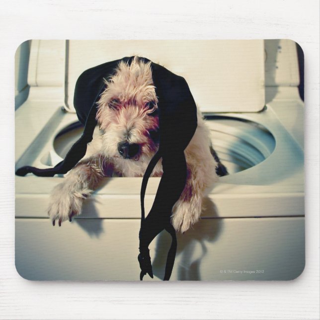 Mousepad Cachorro ajudando com a lavagem (Frente)