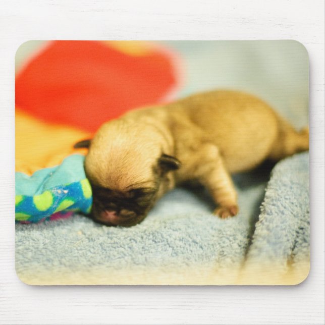 Mousepad Cachorro-bebê-Nascer (Frente)