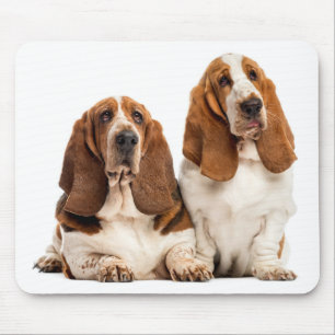Mousepad Cachorro Bonito Pupado Passa Presente Hound
