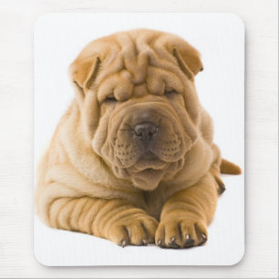 Mousepad Cachorro-Cachorro-Cachorrinho Chinês - Sharpei