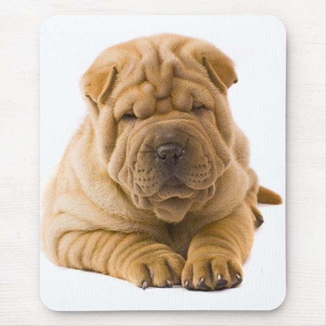 Mousepad Cachorro-Cachorro-Cachorrinho Chinês - Sharpei (Frente)