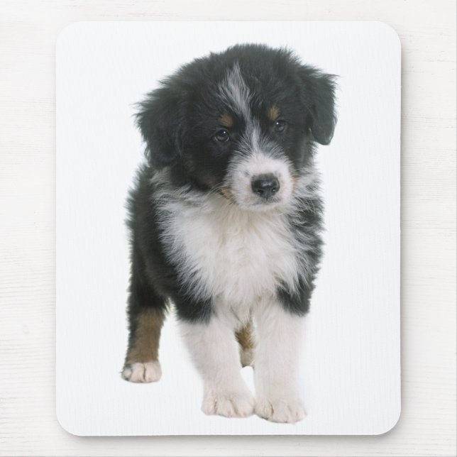 Mousepad Cachorro Cachorro-Cachorro Australiano - Aussie Lo (Frente)