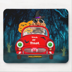 Mousepad Cachorro-Cachorro Espanhol Dirigindo Carro Assusta