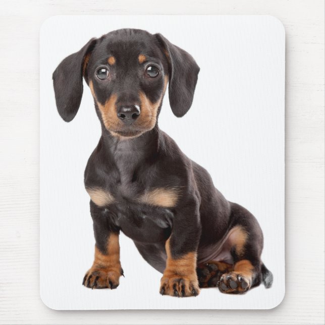 Mousepad Cachorro Cãozinho Cãozinho Cachshund (Frente)