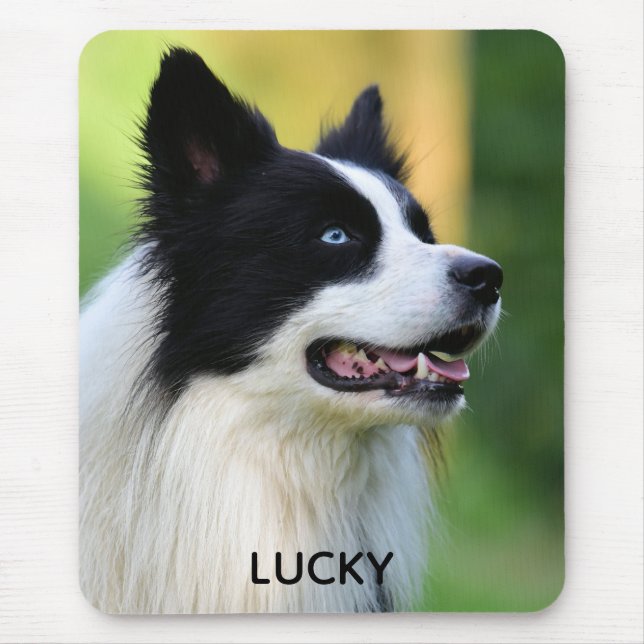 Mousepad Cachorro Collie de Borda Preta e Branca (Frente)