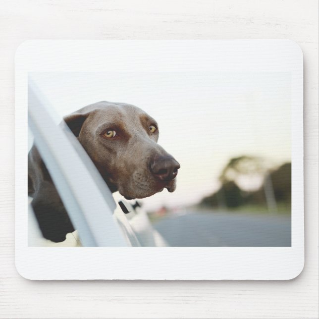Mousepad Cachorro com cabeça fora da janela do carro (Frente)
