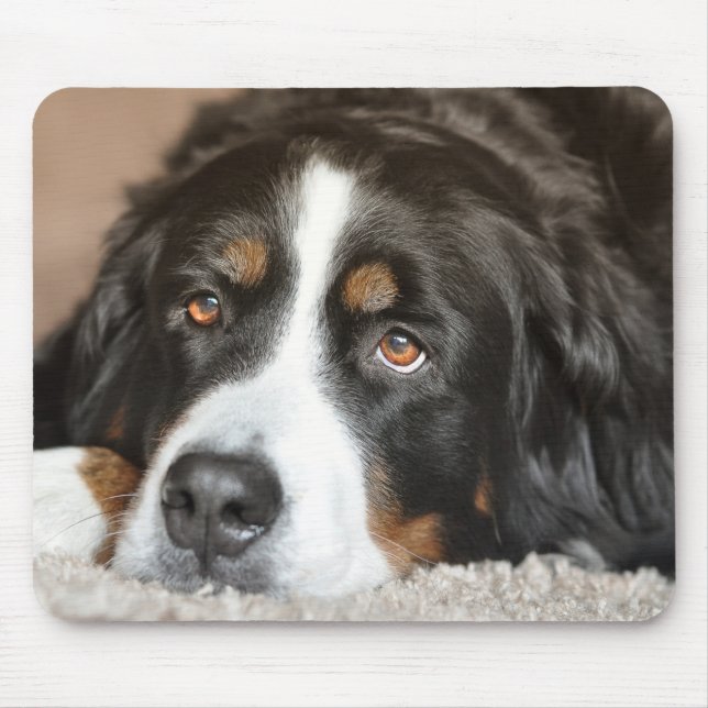 Mousepad Cachorro da Grande Montanha Suíça (Frente)
