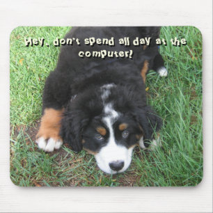 Mousepad Cachorro da Montanha Bernese
