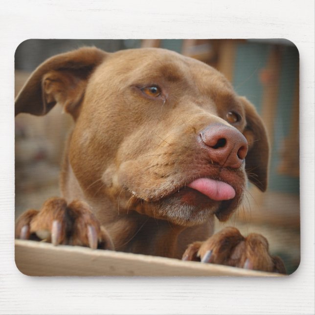 Mousepad Cachorro de chocolate bonito (Frente)
