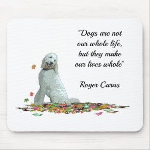 Mousepad Cachorro De Labradoodle Sai Do Pão Do Rato