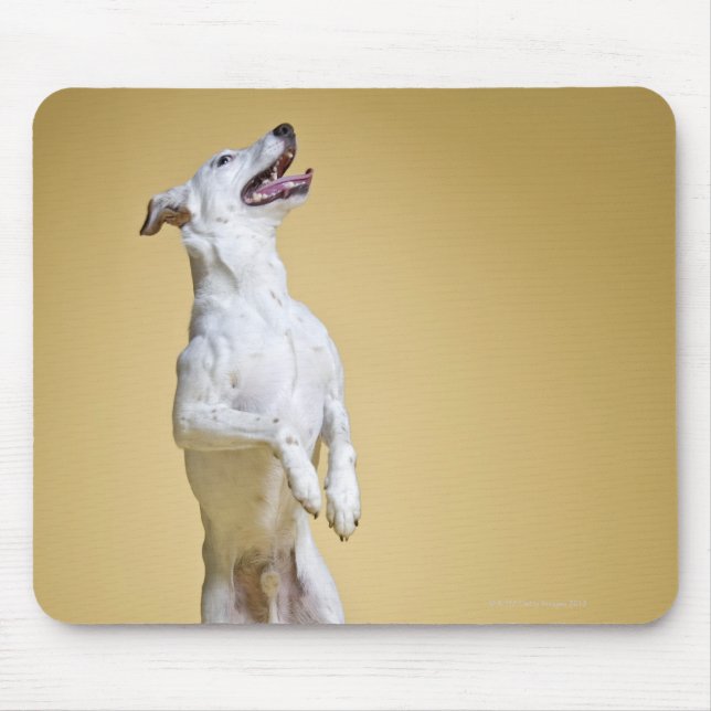Mousepad Cachorro de pé nas patas traseiras (Frente)