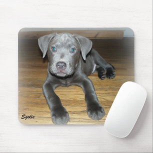 Mousepad Cachorro De Pitbull/Cachorro