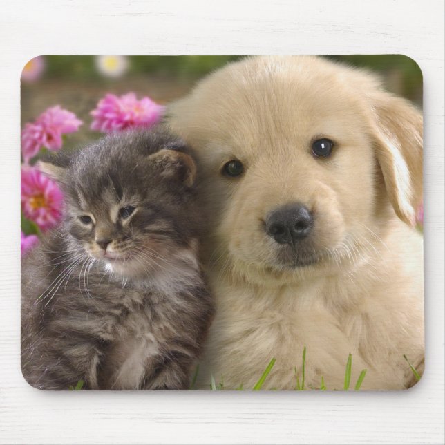 Mousepad Cachorro e Kitten (Frente)