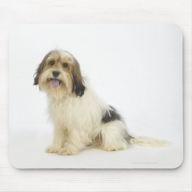 Mousepad Cachorro em branco 104 (Frente)