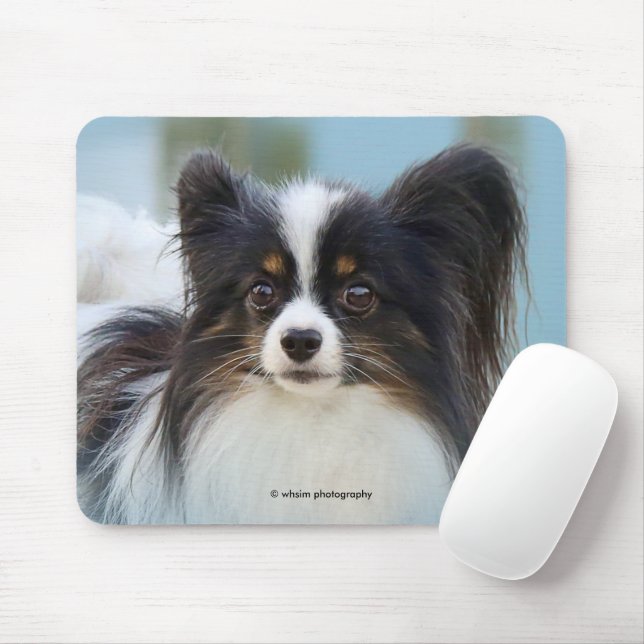 Mousepad Cachorro Espanhol de Papillon Bonito na Boca (Com mouse)