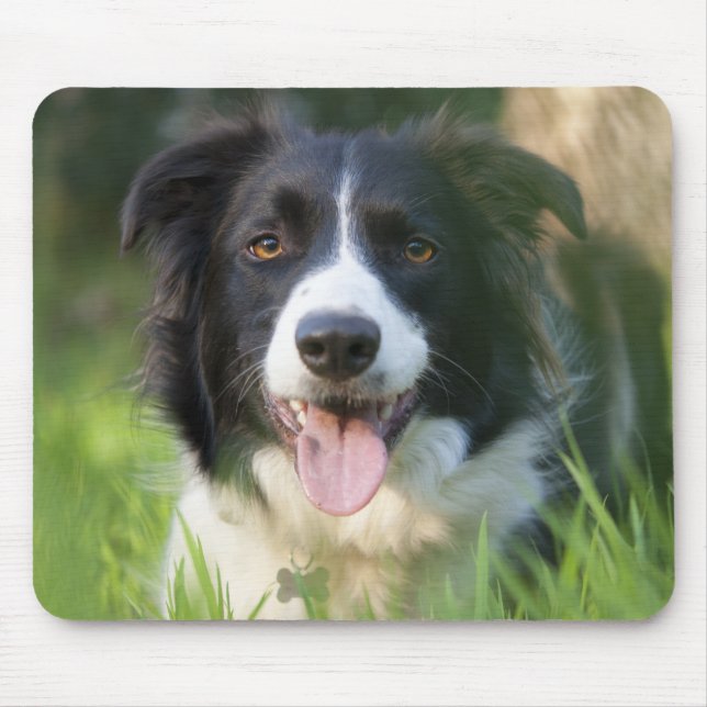 Mousepad Cachorro Filhote Border Collie (Frente)