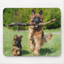 Mousepad Cachorro fluffy German shepherd e Puppy de cabelo