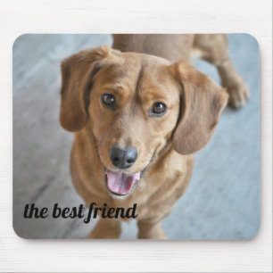 Mousepad Cachorro Gelado