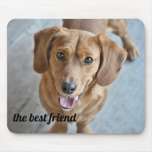 Mousepad Cachorro Gelado (Frente)