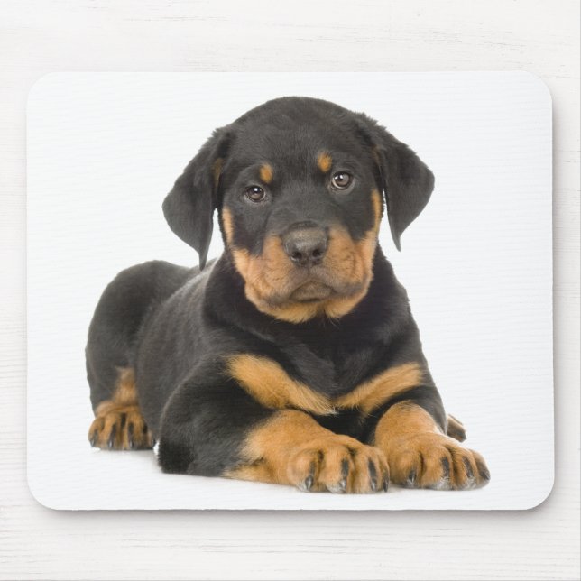Mousepad Cachorro Gopado Gopado Gift Rottweiler (Frente)