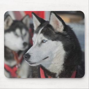 Mousepad Cachorro Husky antes de uma corrida, Canadá