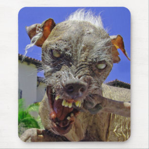 Mousepad Cachorro Mais Gelado do Mundo