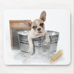 Mousepad Cachorro Marrom e Cachorro Branco Tomando Banho