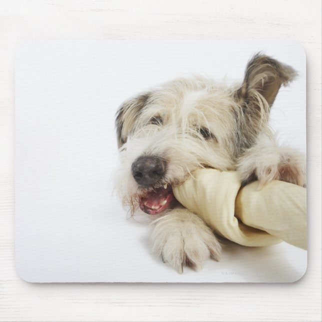 Mousepad Cachorro mascando o osso do couro cabeludo (Frente)