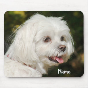 Mousepad Cachorro Mole Branco Personalizado Maltês