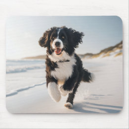 Mousepad Cachorro na praia