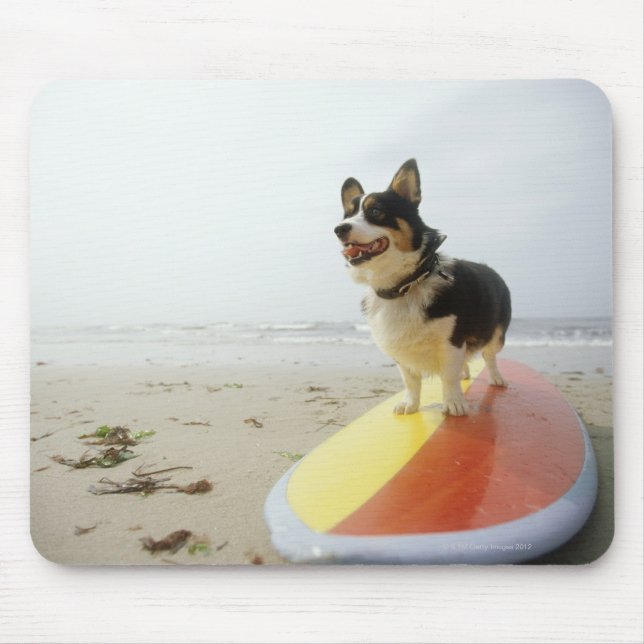 Mousepad Cachorro na prancha (Frente)