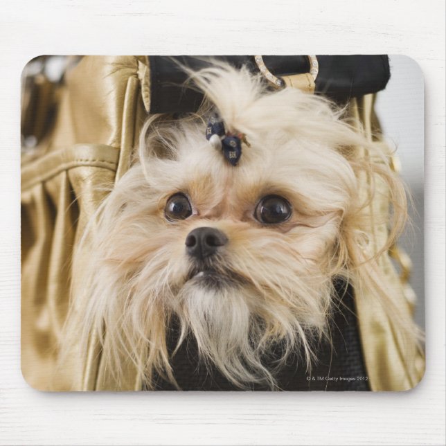 Mousepad Cachorro numa bolsa (Frente)