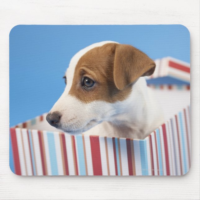 Mousepad Cachorro numa caixa de presentes (Frente)