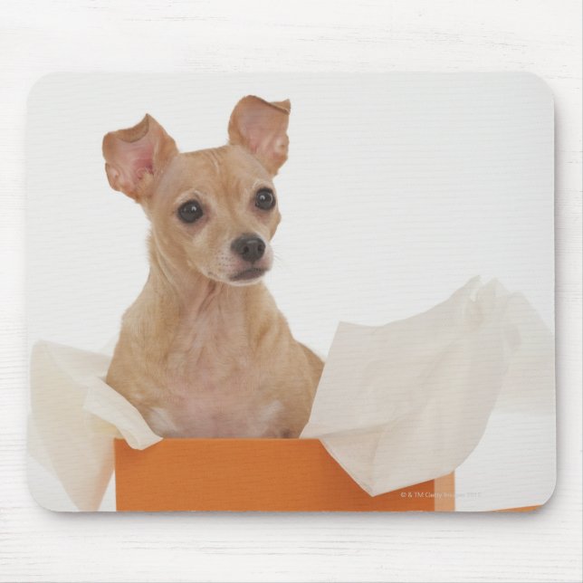 Mousepad Cachorro pequeno sentado na caixa de presentes (Frente)