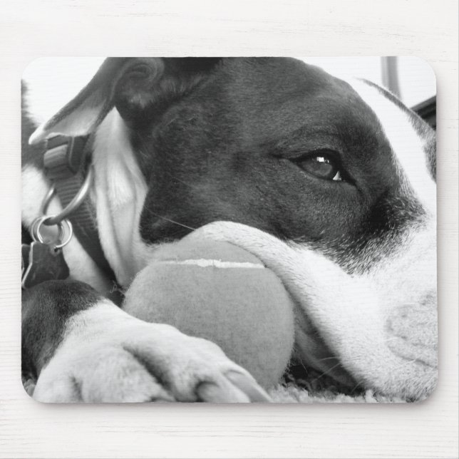 Mousepad cachorro pitbull fofo e triste, preto e branco com (Frente)