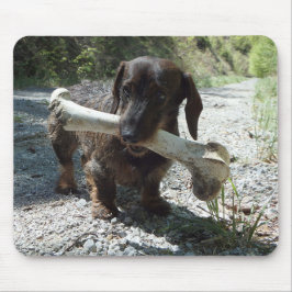 Mousepad Cachorro-salsicha