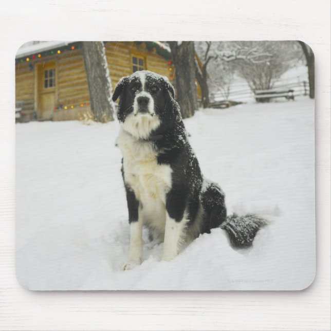 Mousepad Cachorro sentado à neve com cabana de madeira atrá (Frente)