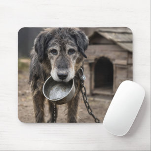 Mousepad Cachorro Triste com Tigela de Água Vazia