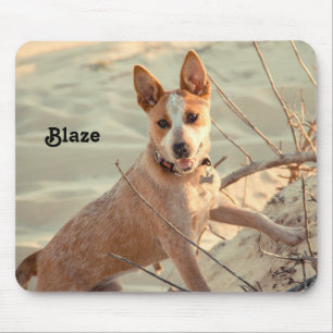 Mousepad Cachorro Vermelho australiano - Heeler - na neve