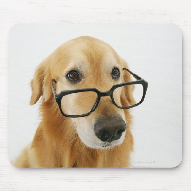 Mousepad Cachorro vestindo gravata e óculos sentados em cad (Frente)