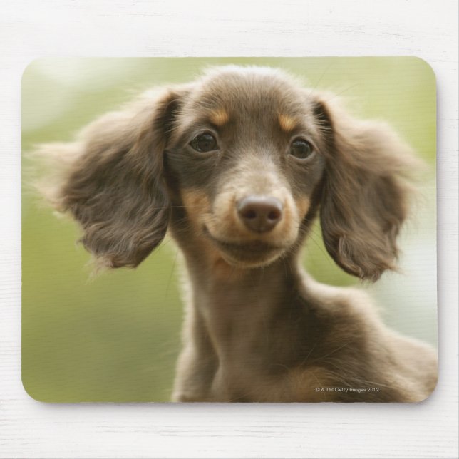 Mousepad Cachorro-Vidro (castanho) (Frente)