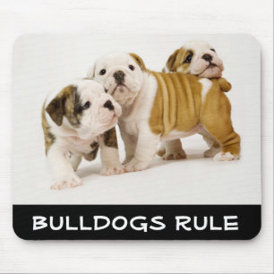 Mousepad Cachorros-De-Boca-Boca-Boca-Boca
