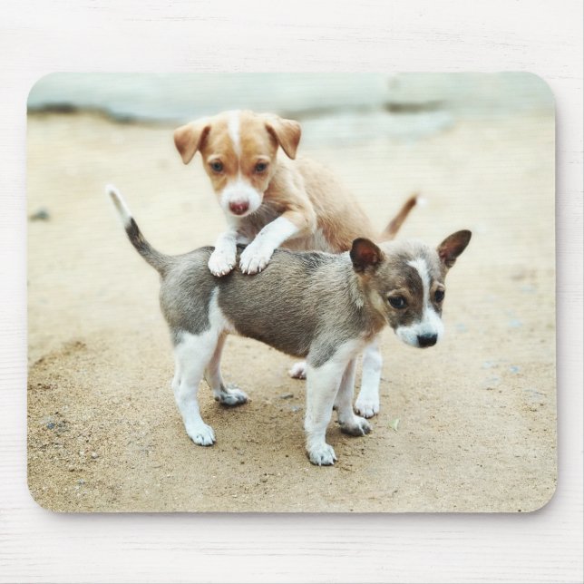 Mousepad Cachorros Fofos Brincando na Praia (Frente)