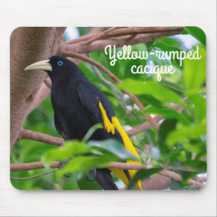 Mousepad Cacique de bote amarelo