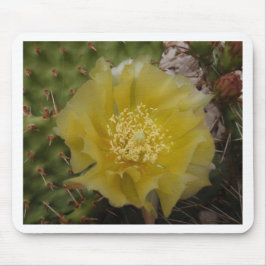 Mousepad Cacto Amarelo em Flor