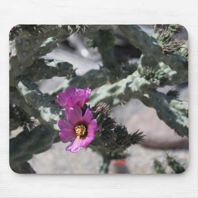 Mousepad Cacto Challa em flor (Frente)