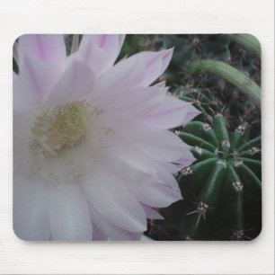 Mousepad Cacto da flor branca