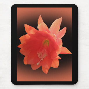 Mousepad Cacto de orquídea - Epiphyllum Ackermannii - flor