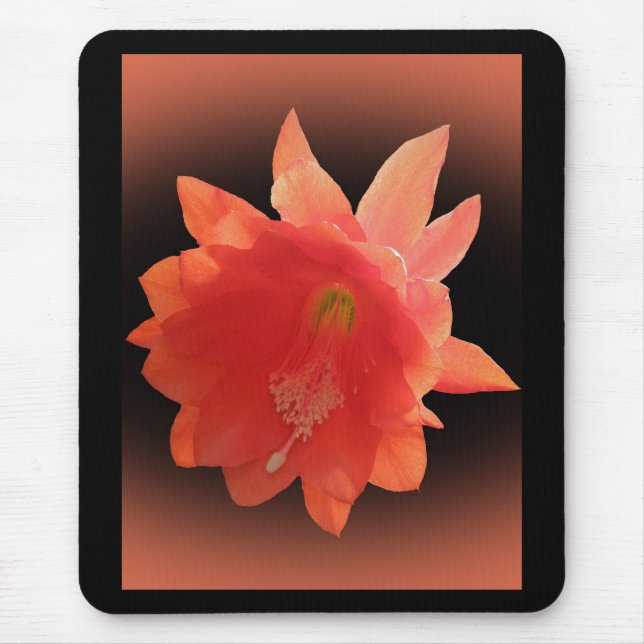 Mousepad Cacto de orquídea - Epiphyllum Ackermannii - flor (Frente)